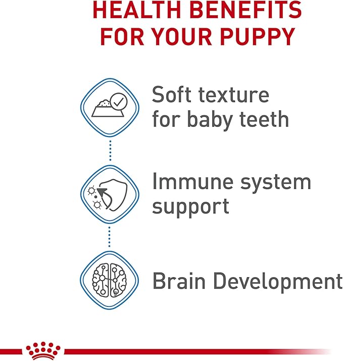 Royal Canin Size Health Nutrition X-Small Puppy Thin Slices in Gravy Dog Food, 3 oz (Pack of 24)