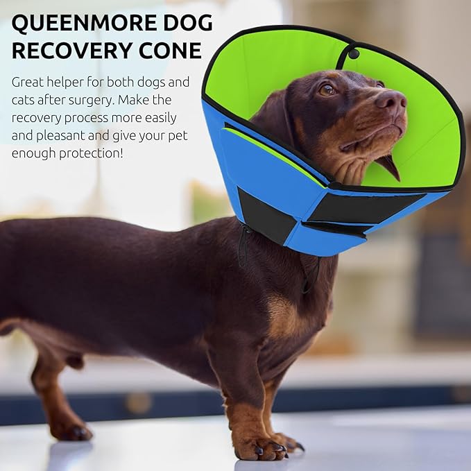 Queenmore Dog Cones for Large Dogs, Soft Dog Cone for Large Breeds, Cone for Dogs After Surgery, Adjustable Elizabethan Collar for Pet to Prevent Licking Wounds, Blue&Green L