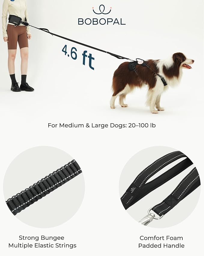 Hands Free Dog Leash with Ergonomic Waist Belt, Zipper Pouch, Reflective Bungee & Double Handle, for Medium & Large Dogs (20–100 lb), Walking, Running & Car Travel