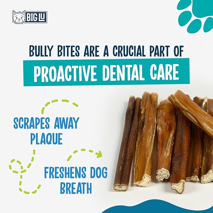 Big Lu - 4” Bully Sticks, 10 Count, 100% Grass-Fed Beef Chews, Fully Digestible, Long-Lasting Treats for Puppies and Small to Medium Dogs, Natural Single-Ingredient Chews for Keeping Dogs Busy