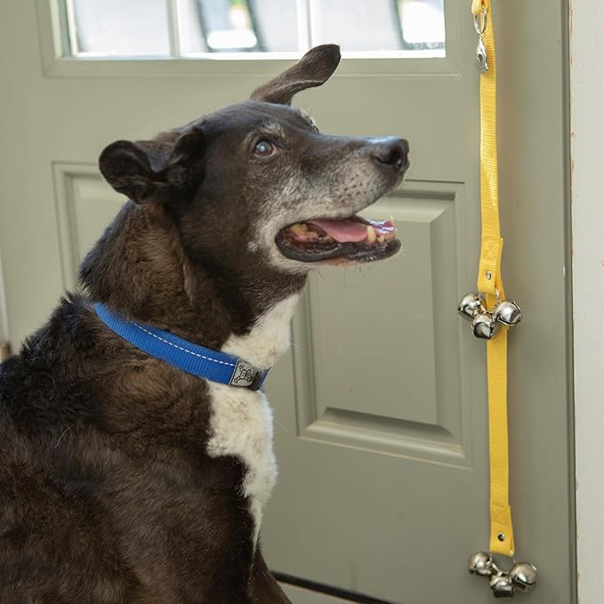 Caldwell's Pet Supply Co. Dog Potty Bells, Dog Bells to Go Outside, Hanging Dog Door Bell for Potty Training, Quality Bell for Dogs to Ring to Go Potty, Potty Bells for Dogs, New Puppy Training Tool