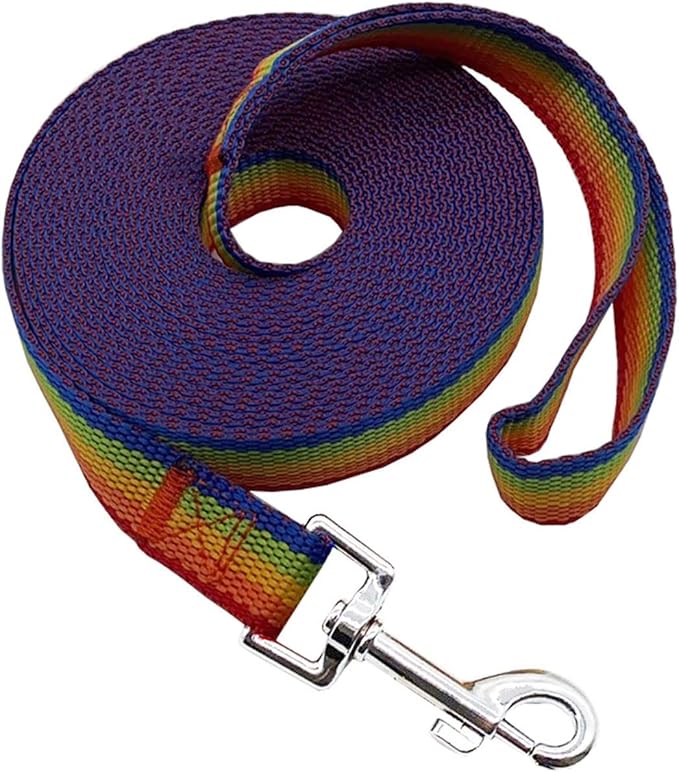Nylon Training Dog Leash for Small Medium Large Dogs, 15ft 20ft 30ft 50ft Long Leash Dog/Puppy Lead for Obedience Recall Training, Camping (1" x 20ft, Rainbow)