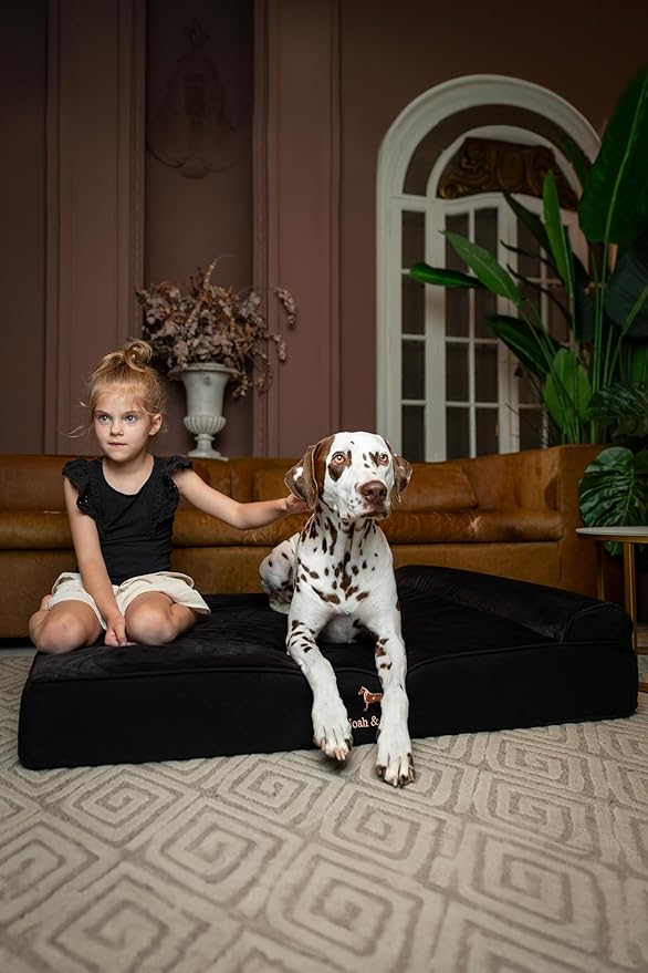 NOAH & PAW XL Dog Bed, 45x35x9.1 Inch, Orthopedic Large Dog Beds, Eggshell Memory Foam Infused with Cooling Gel, Waterproof, Machine Washable, Includes Inner Cover (Denim Collection)