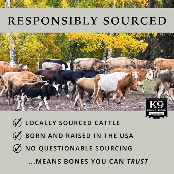 K9 Connoisseur Single Ingredient Dog Bones Made in USA for Large Breed Aggressive Chewers All Natural Long Lasting Meaty Mammoth Marrow Filled Knuckle Bone 1 Pack