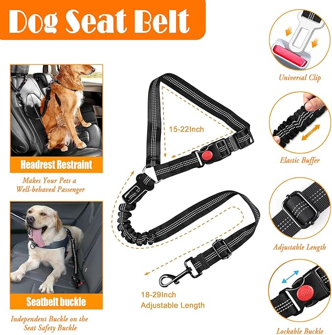 No Pull Dog Harness, Collar & Leash Set | Includes Dog Seat Belt, Collapsible Bowls & Poop Bag Dispenser. Ideal for Training, Walking, Hiking. Fits Small to Large Dogs(Blue-XL)