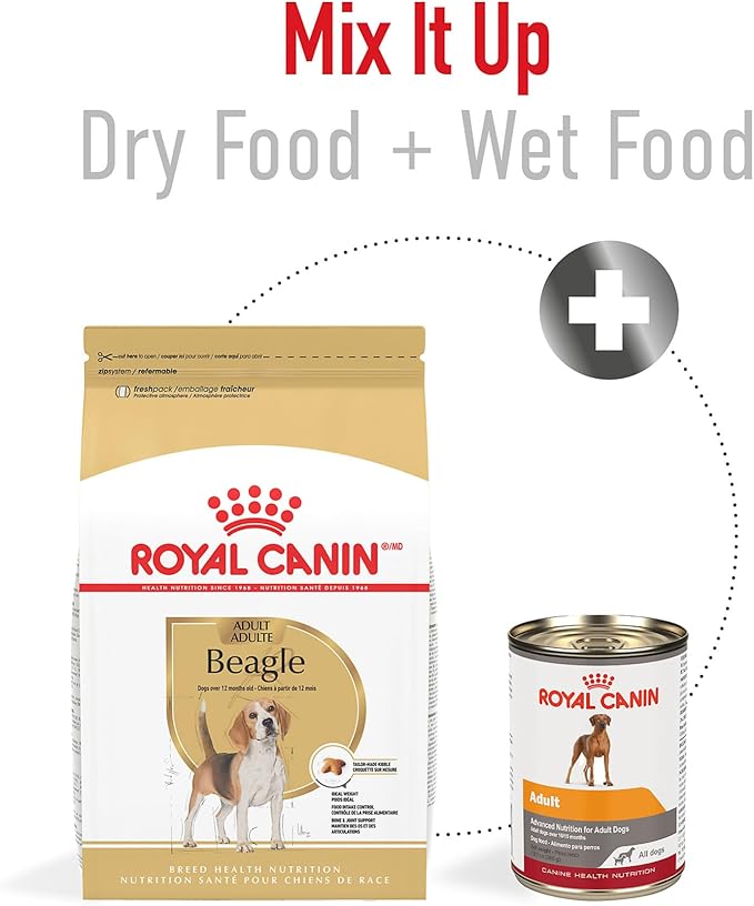 Royal Canin Beagle Adult Dry Dog Food, 6 lb bag