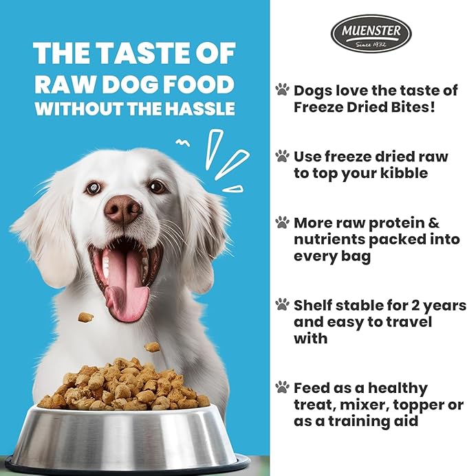 Muenster Freeze Dried Beef Bites - Dog Food, Treat, Mixer or Topper (5oz) - Grain-Free