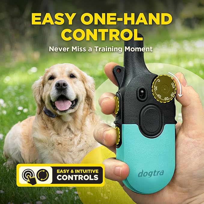 Dogtra 200iQ Remote Training E Collar – 100 Levels, Tone, Vibration, 1/2 Mile Range – Compact, Waterproof, One-Handed Control for Dogs 10 lbs+ – Lightweight Design for Daily Training – Teal