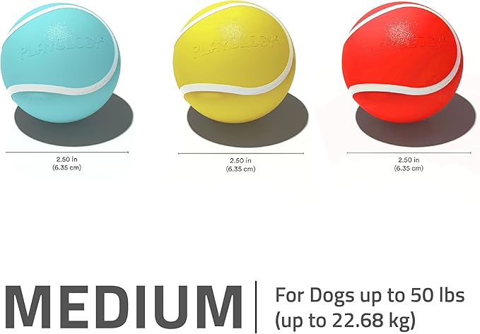 Playology Dog Toys | Rainbow of Scent Chew Toy Gift Box - Squeaky Chew Balls for Dogs | Peanut Butter, Chicken, & Beef Scented Toys - Easy to Clean and Made from Non Toxic Materials