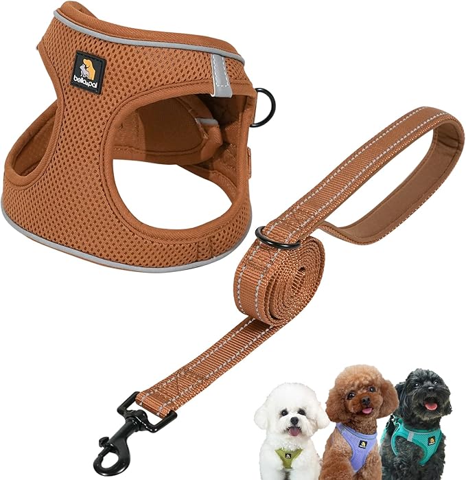 BELLA & PAL Step in Vest Harness for Small and Medium Dogs, No Pull Puppy Harness with Leash Set, Comfortable Air Mesh Dog Vest Harness with Reflective Strip (Mokka, XS)