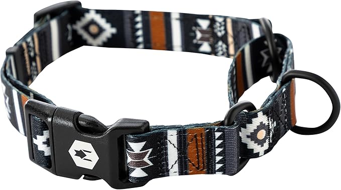 Wolfgang Heavy Duty Martingale Dog Collar with Quick Release Nylon Buckle for Walking & Training, NewMoon Print, Large