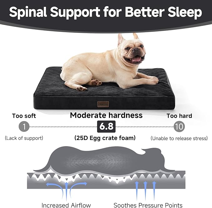 OhGeni Orthopedic Waterproof & Machine Washable Dog Bed for Small Medium Pets, Suitable for Crates, Cat Mat with 25D Egg Crate Foam, Removable Cover, 30 Inches(Black)