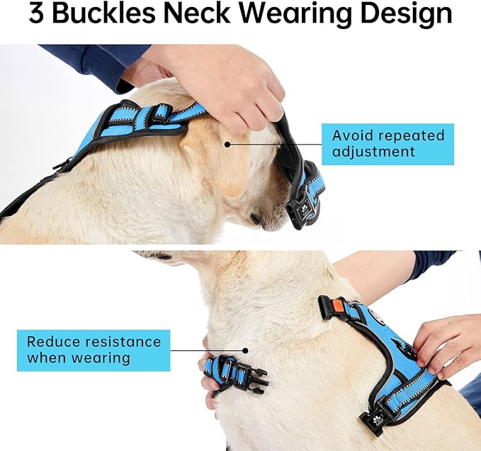 IVY&LANE No Pull Dog Harness for Small Dogs, Dog Vest Harness with Leash, Safety Belt and Storage Strap, Fully Adjustable Harness, 360° Reflective Strip, Soft Handle (Blue, XS)