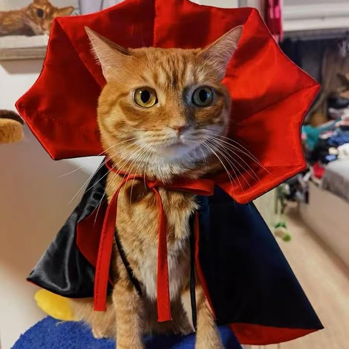 Cat/Dog Vampire Costume, Cute Funny Scary Pet Cape Cloak Clothes for Kitten & Small Medium Large Dogs, Dress Up Outfit for Halloween Cosplay (Small)