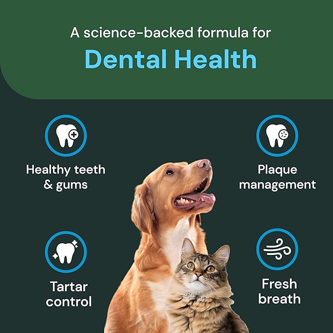 VetriScience Dental Care Powder - Dental Supplement Powder for Dogs & Cats - Supports Breath Freshening - Healthy Teeth & Gums - Easy-to-Use Oral Hygiene for Pets - 16 oz