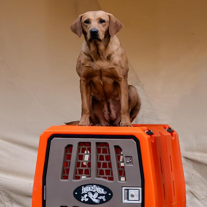 Lucky Dog Kennel, Durable Crash Tested Portable Dog Crates, Intermediate, Uplander (Orange)