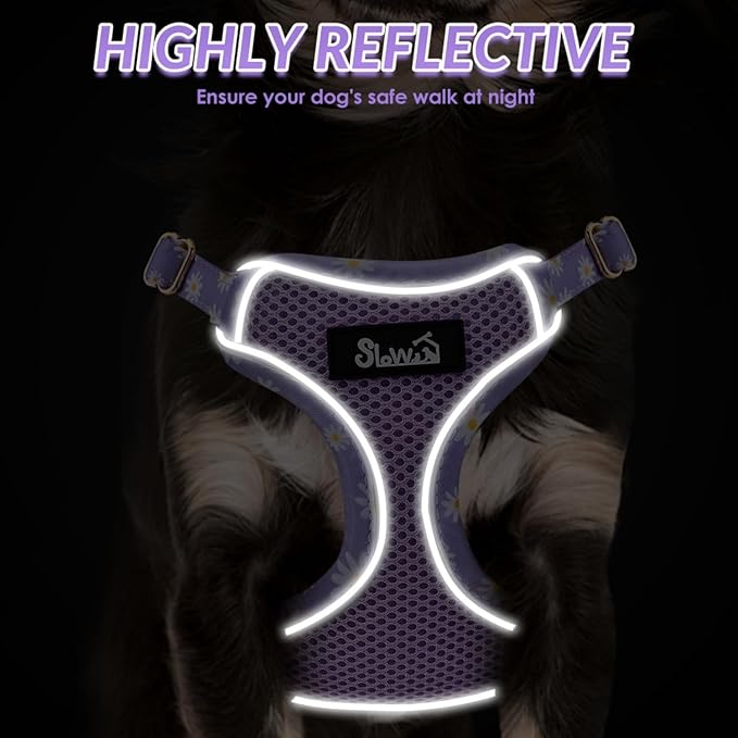 SlowTon Small Dog Harness - No Pull Dog Harness and Leash Set, Soft Mesh Lightweight Puppy Vest Harnesses, Adjustable Pet Harnesses for XXS XS Small Medium Easy Walk Hiking (Purple, M)