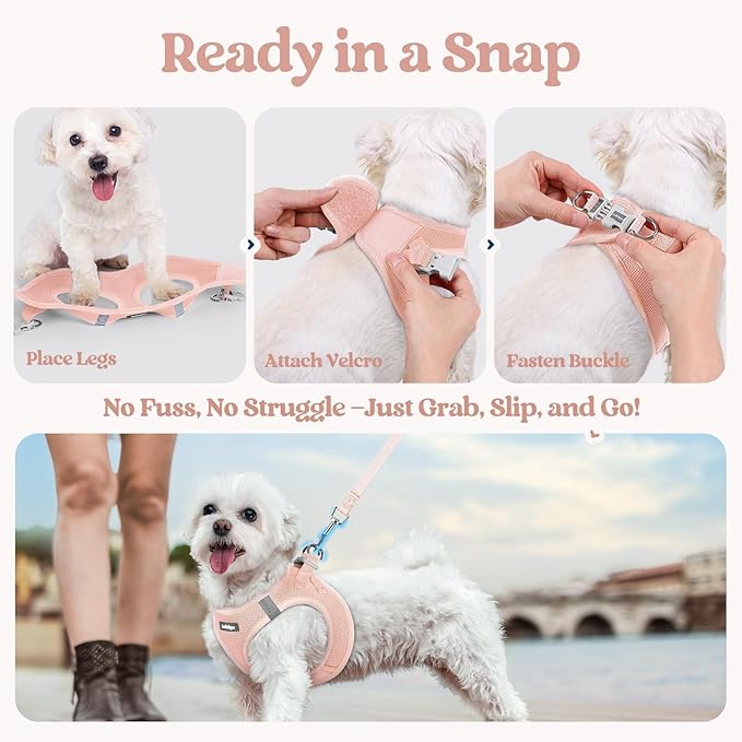 rabbitgoo Dog Harness Small Sized and Leash Set, Step in Soft Light Puppy Vest, Breathable Mesh Pet Harness, Reflective for Safe Outdoor Walking, Pink M