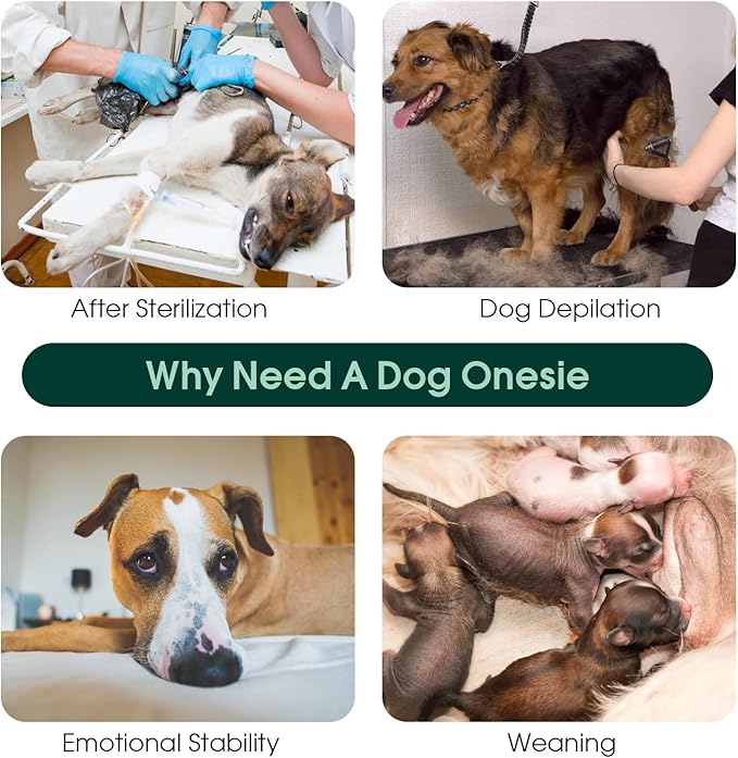 Kuoser Dog Recovery Suit for Post-Surgery Care, Spay Neuter Bodysuit for Female & Male Dogs, Anti-Licking Surgical Onesie, Snug Fit for Abdominal Wound Protection & Skin Healing, Brown XXL