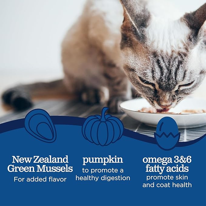 Blackwood Wet Cat Food, Chicken & Chicken Liver with Pumpkin Recipe for All Life Stages, 3 Ounce Can (Pack of 12), Slow Cooked, Grain Free