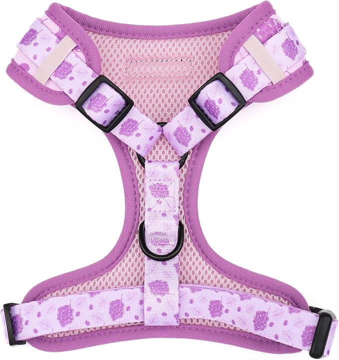 Dog Harness and Leash Set, Adjustable Dog Harness, Dog Leash, No Pull No Choke Puppy Harnesses for Walking Training for Small Medium Pet (Wines, S(Chest 13-19", Neck 9.5-13.1"))