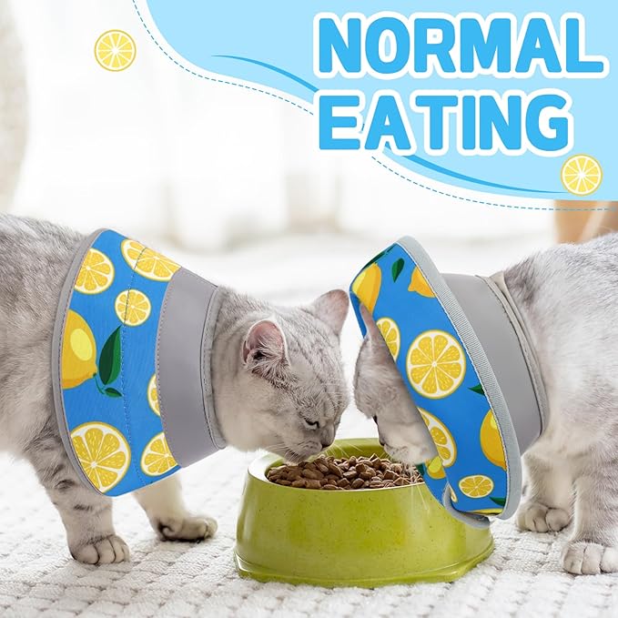 Cat Cone Collar Soft, Comfortable Cat Recovery Collar Pet Cone for Small Large Cats, Lightweight Elizabethan Collar for Cats Kittens After Surgery Prevent from Licking Wounds, Blue, S