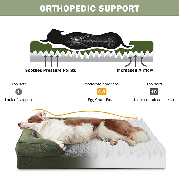 INVENHO Orthopedic Medium Dog Dogs, Egg-Crate Foam Dog Couch with Washable Removable Cover, Waterproof Lining and Nonskid Bottom
