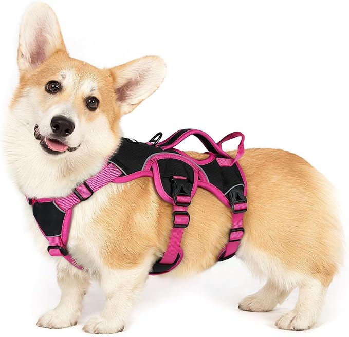 rabbitgoo Escape Proof Dog Harness Small Sized Dog, Soft Padded Full Body Pet Harness, Reflective Adjustable Vest with Lift Handle and Leash Clip for Walking Hiking Training, Pink & Black, S