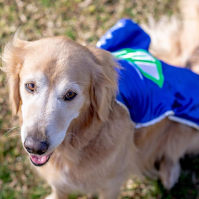 Everfan Personalized Dog Superhero Cape (Large 20" Long (20-55 lbs), Purple)