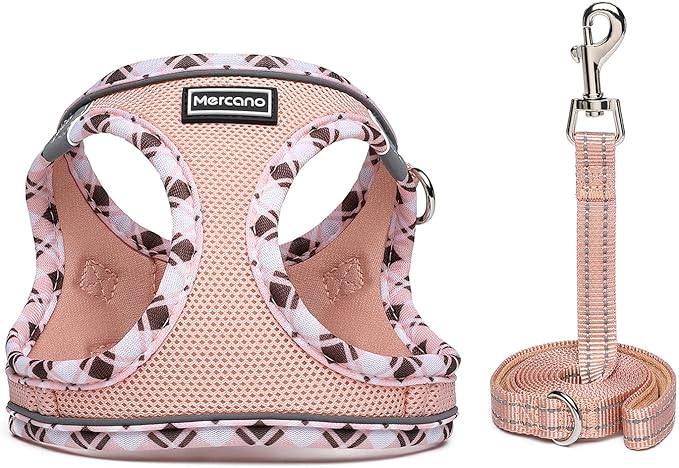 Mercano Soft Mesh Dog Harness and Leash Set, No-Chock Step-in Reflective Breathable Lightweight Easy Walk Vest Harnesses with Safety Buckle for Small Dogs, Cats (Champagne, M)