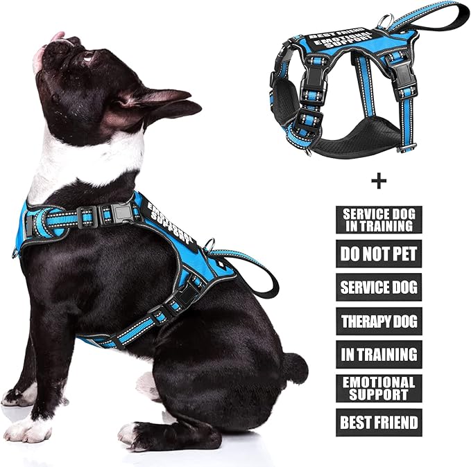 WINSEE Service Dog Vest No Pull Dog Harness with 7 Dog Patches, Reflective Pet Harness with Durable Soft Padded Handle for Puppies, Small, Medium, Large, and Extra-Large Dogs