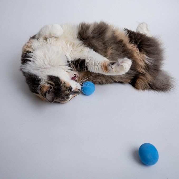 Rawry Foam Ball Cat Toy Set – 12 Foam Balls for Indoor Cats & Kittens | Soft, Durable, Bouncy Balls for Playtime & Exercise | Lightweight, Non-Toxic, Easy for Cats to Chase (12 Pack, Blue)