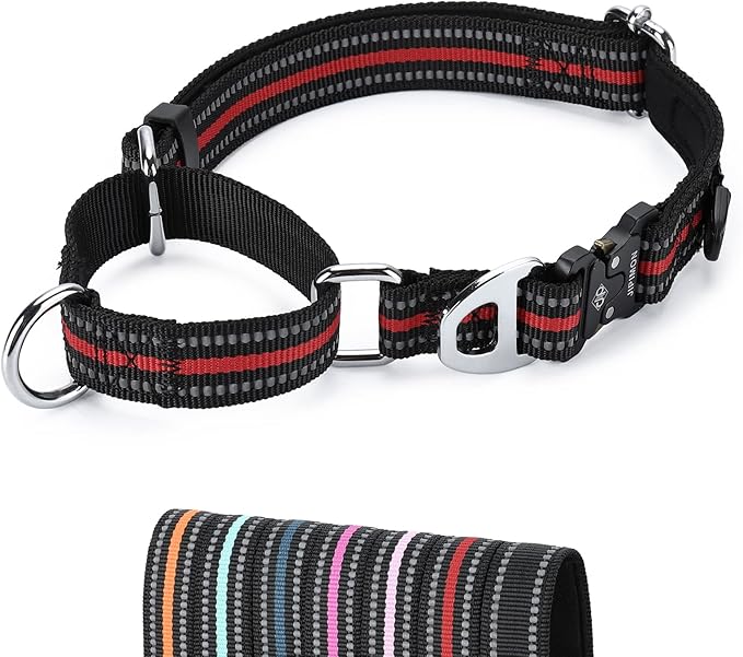 Martingale Dog Collar Reflective Nylon Soft Cushion with Alloy Buckle Dog Collar Martingale Small Medium and Large Dogs (Large, Red)
