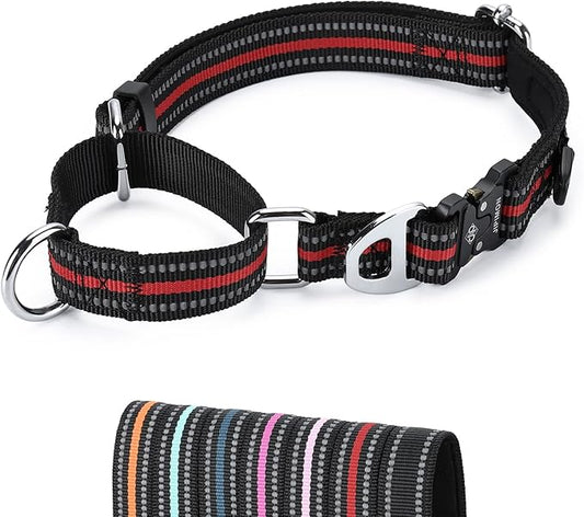 Martingale Dog Collar Reflective Nylon Soft Cushion with Alloy Buckle Dog Collar Martingale Small Medium and Large Dogs (Small, Red)