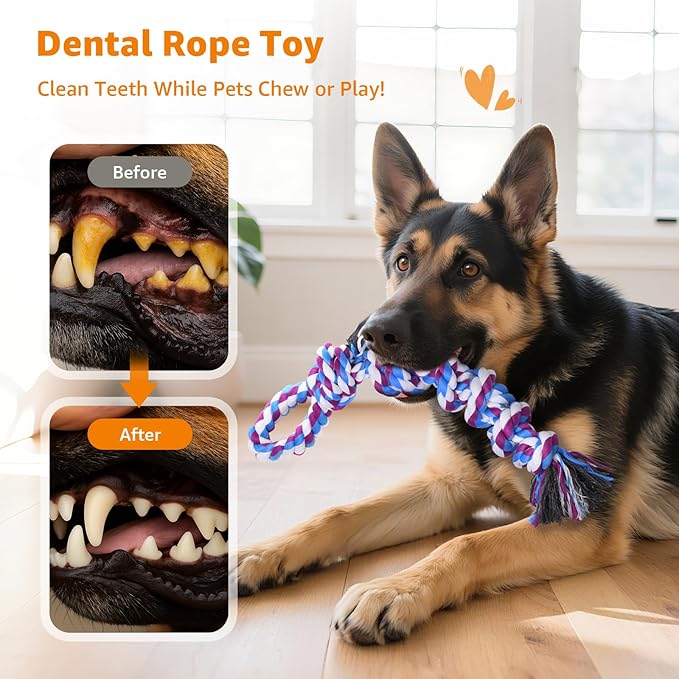 LOOBANI Dog Rope Toys for Aggressive Chewers - 2 Packs Replacement Interactive Chew Toy for Pet Grinding Teeth, Tug of War Toy for Small Medium Large Breeds(Purple Blue)