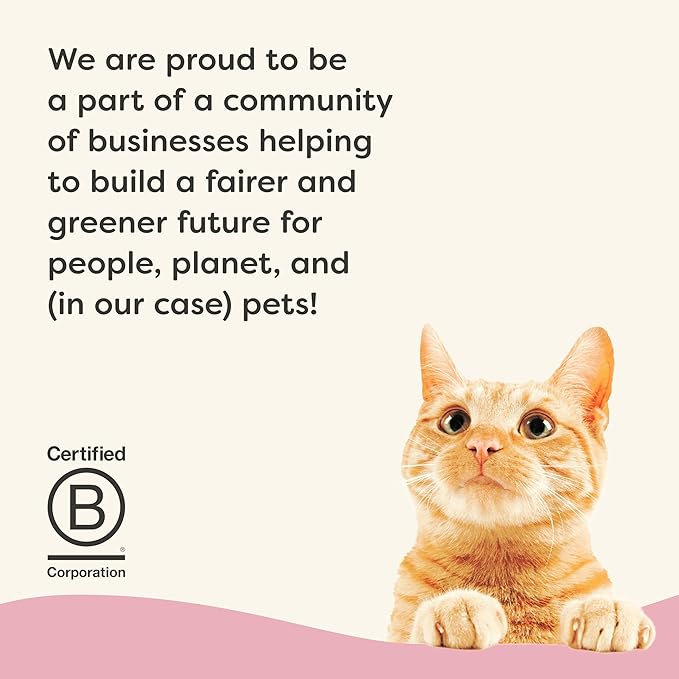 Applaws Vitality Wet Cat Food in Broth, Natural Cat Food with Added Vitamins & Minerals, Grain and Carrageenan Free, Tuna Fillet & Shrimp in Broth (24 Count, 2.47 oz Cans)