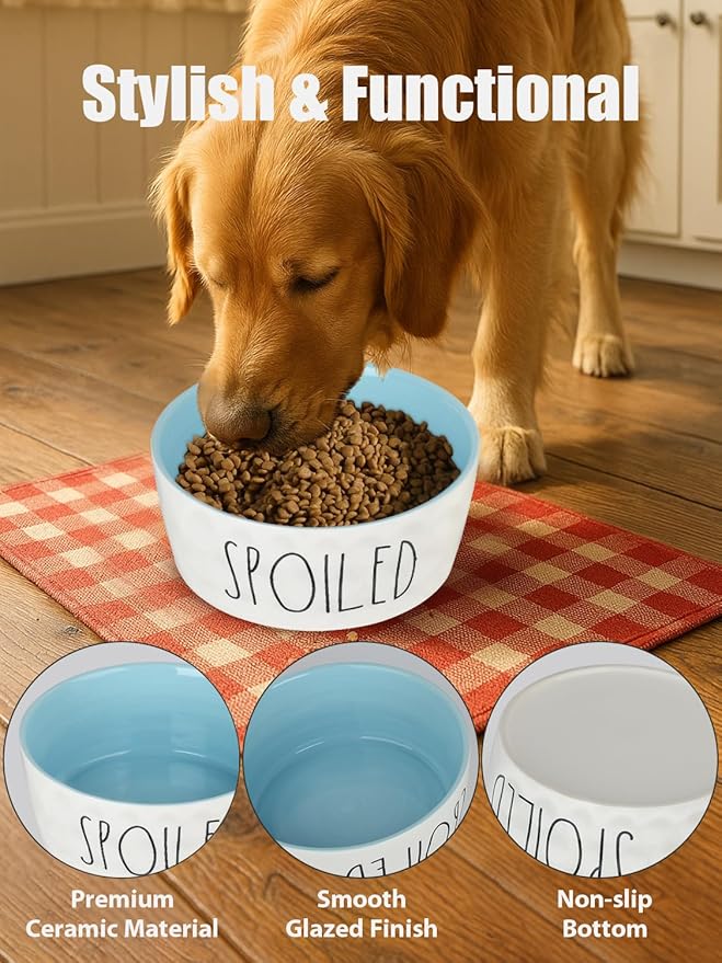 70OZ Ceramic Dog Bowl - 8'' Extra Large Food Water Dog Bowl, Heavy Duty Non-Slip Dog Dish for Medium and Large Dogs, Food Grade Porcelain Pet Feeder Bowl, Microwave & Dishwasher Safe, Blue