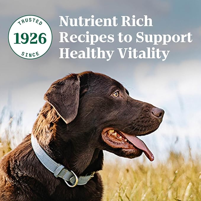 Nutro Natural Choice Adult Dry Dog Food, Salmon and Brown Rice Recipe, 28 lb Bag