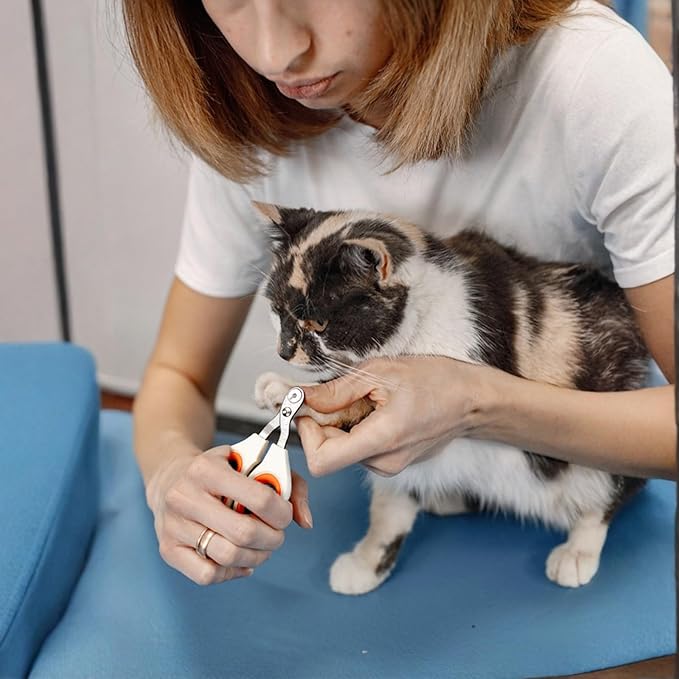 3PCS Flea Comb for Cats and Dogs Self-Cleaning Pet Flea Comb Grooming Brush with Pet Nail Clipper