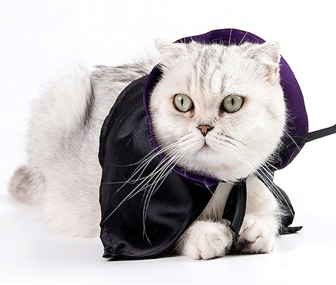 Halloween Pet Cloak Witch Hat Witch Cloak Costume for Small Dogs and Cats Halloween Clothes (S)