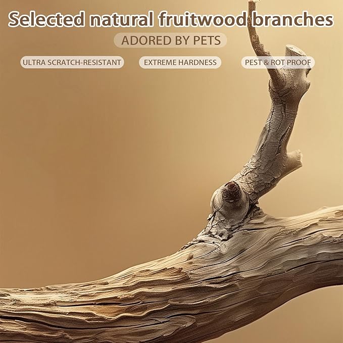 Modern Cat Tree Tower, 45” Wooden Cat Tree for Indoor Cats Large Adult, Real Solid Luxury Cat Condo with Scratching Post for Multi-Cat Households