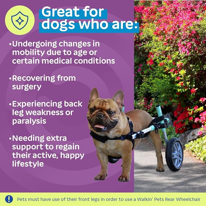 Walkin' Wheels Small Dog Wheelchair, Lightweight Dog Wheelchair for Back Legs, 15-25 lbs, for 6-8 inches Leg Height - Seafoam