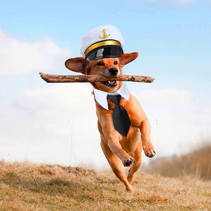 Yewong Pet Captain Costume Set Dog Cat Sea Sailor Hat with Pet Necktie/Bowtie for Cat Puppy Navy Halloween Cosplay Party Supplies Photo Props (Necktie Set-6)