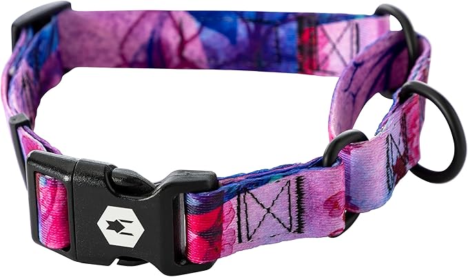 Wolfgang Heavy Duty Martingale Dog Collar with Quick Release Nylon Buckle for Walking & Training, Daydream Print, Medium
