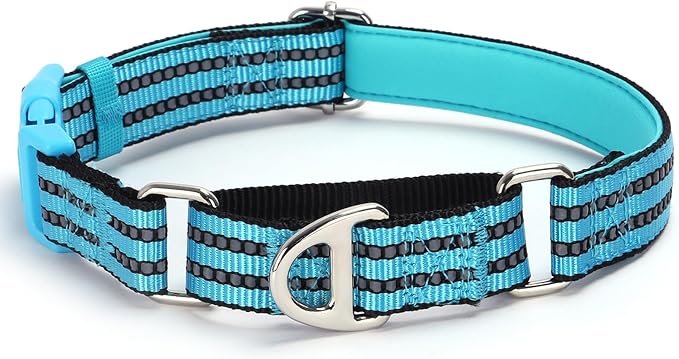 Martingale Collar for Dogs -Reflective Nylon No Slip Choke with Padded Comfort Heavy Duty Dog Collar with Quick Release Buckle for Training, Walking & Overexcited Pulling Blue L