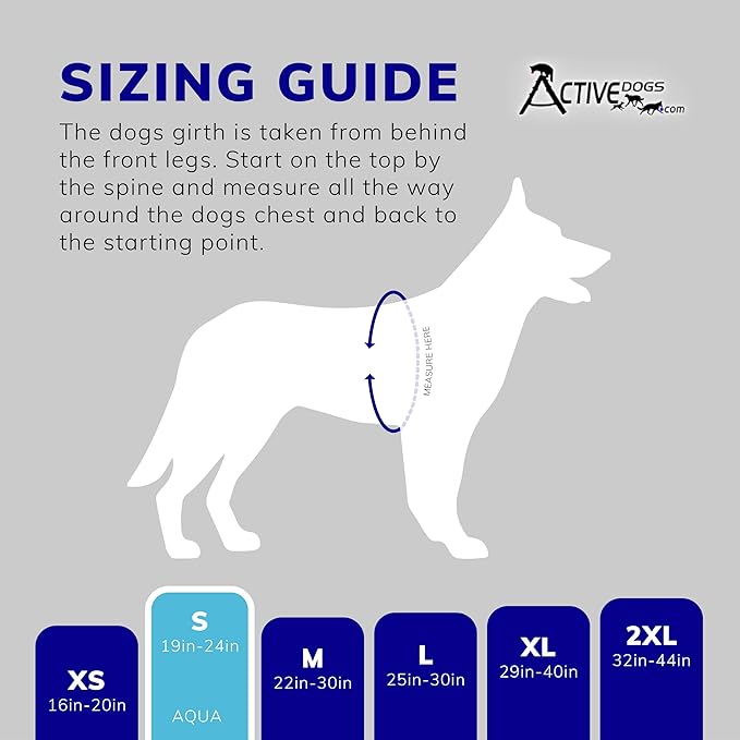 ActiveDogs Full Service Dog Kit - Small Aqua - Vest Harness with Handle, ID Holder, ADA Cards, Medical Alert Keychain, Leash & Patches