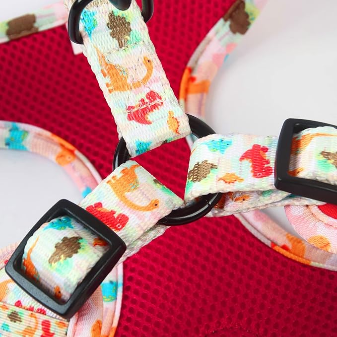 Dog Harness and Leash Set, Adjustable Dog Harness, Dog Leash, No Pull No Choke Puppy Harnesses for Walking Training for Small Medium Pet