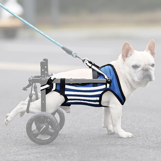 2024 Upgraded Dog Wheelchair for Back Legs Small Wheelchair for Dogs with Disabled Hind Legs Walking Adjustable Dog Carts with Heavy Duty Wheels