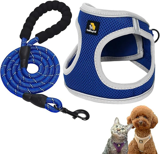 BELLA & PAL Step in Vest Harness for Small and Medium Dogs, No Pull Small Dog Harness with Leash Set, Comfortable Air Mesh Dog Vest Harness with Reflective Strip (Sapphire(Round Rope), XS)