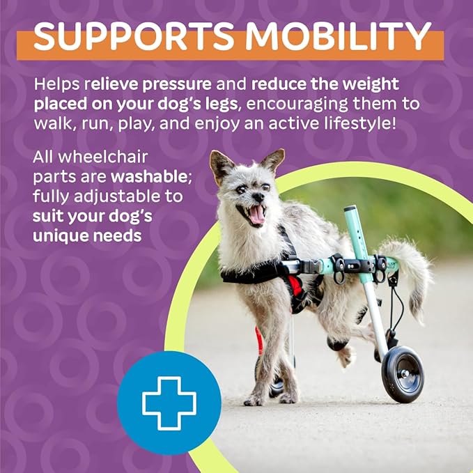 Walkin' Wheels Small Dog Wheelchair, Lightweight Dog Wheelchair for Back Legs, 11-14 lbs, for 7-8 inches Leg Height - Seafoam